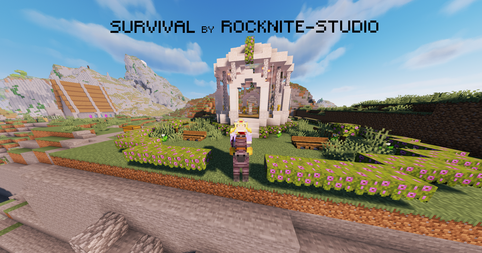 Minecraft Survie